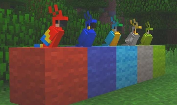 Cómo criar loros en Minecraft: Todo lo que necesitas saber