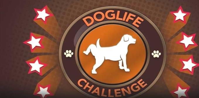 BitLife: ¿Cómo completar el reto DogLife?