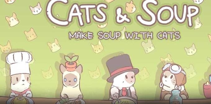 Gatos y sopa: ¿Cómo cambiar de gato? (2022)