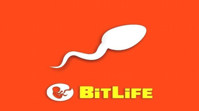 Cómo casarse con ricos en BitLife