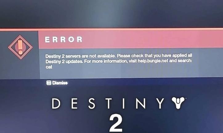 Guía para solucionar el error del gato de Destiny 2