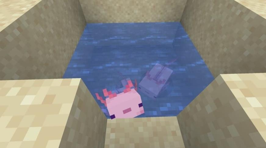 Dónde encontrar Axolotls en Minecraft
