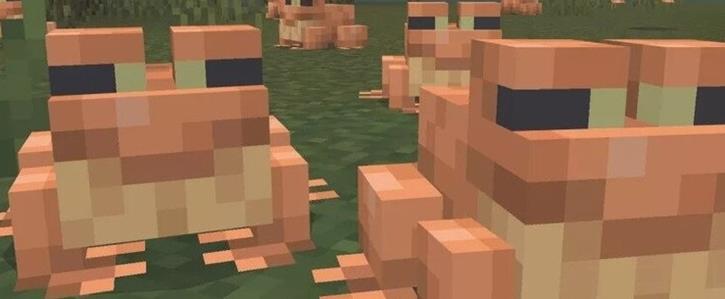 Cómo Conseguir Ranas Frías Templadas O Cálidas En Minecraft Abctechnews 